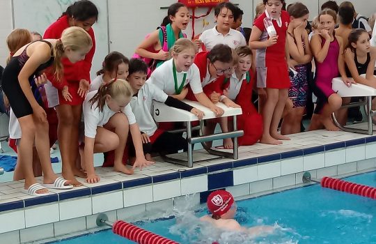 ISA swimming competition