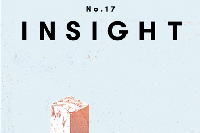 Insight 17 – The Human Form