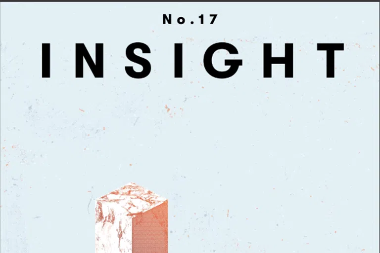Insight 17